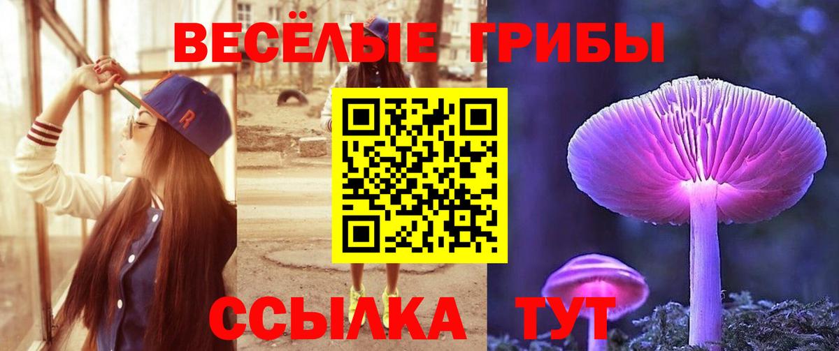 купить наркотики сайты  Псилоцибиновые грибы мухоморы  Вход с VPN  Белорецк 